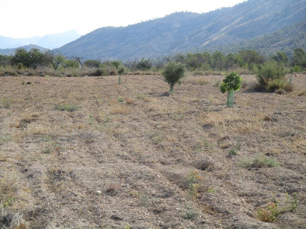 Se vende Terreno Urbano  en Costa Blanca, Alicante, España