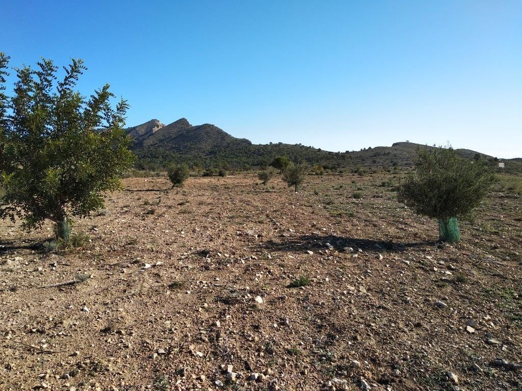 Se vende Terreno Urbano  en Costa Blanca, Alicante, España