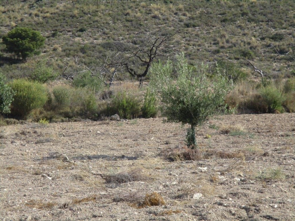 Se vende Terreno Urbano  en Costa Blanca, Alicante, España