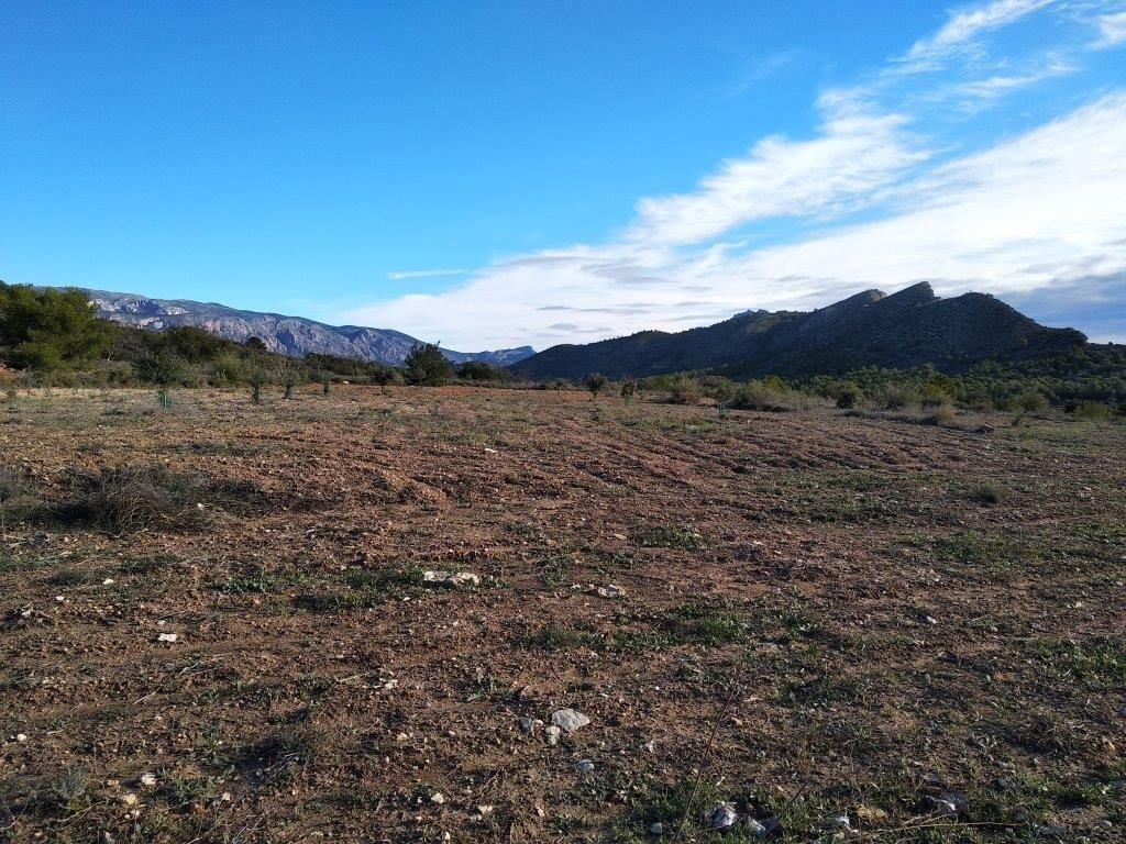 Se vende Terreno Urbano  en Costa Blanca, Alicante, España
