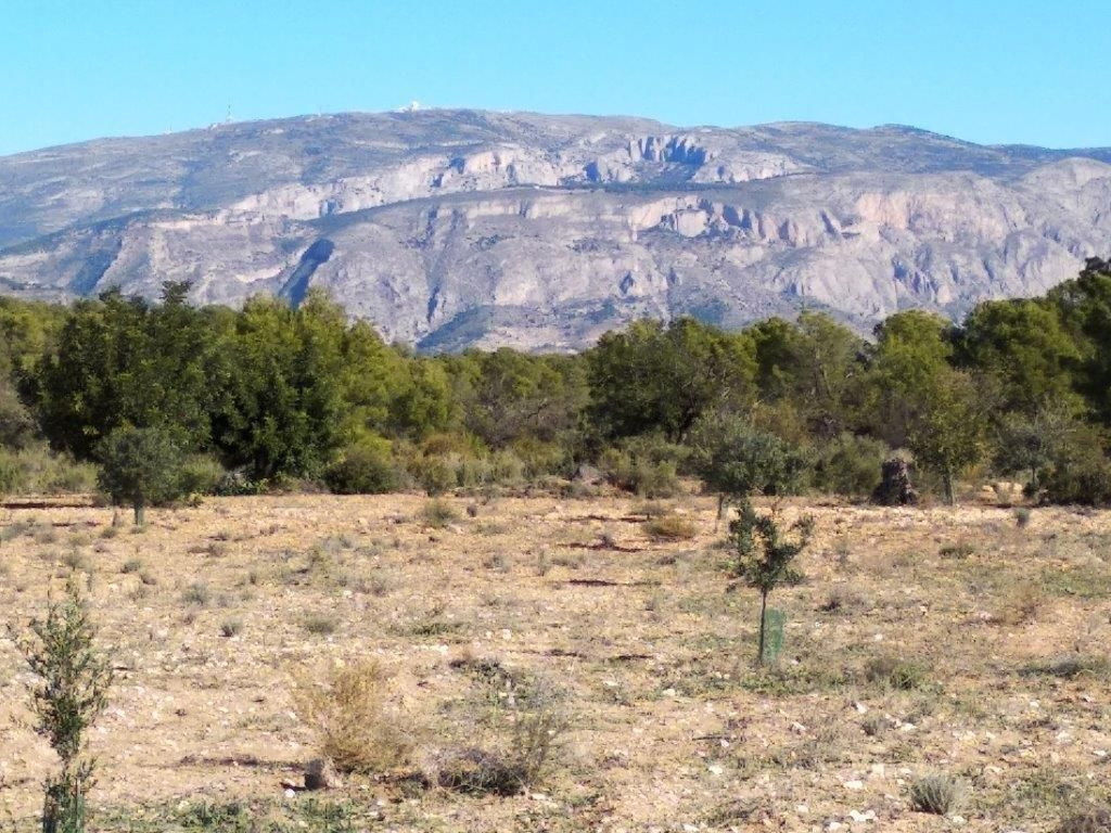 Se vende Terreno Urbano  en Costa Blanca, Alicante, España
