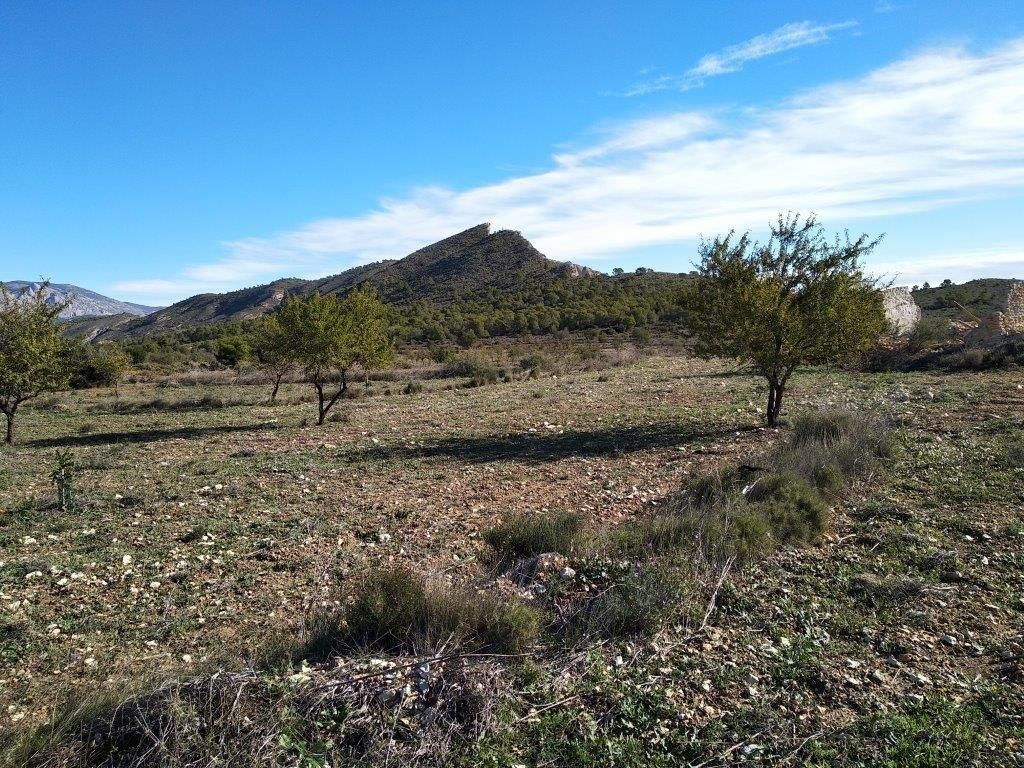 Se vende Terreno Urbano  en Costa Blanca, Alicante, España
