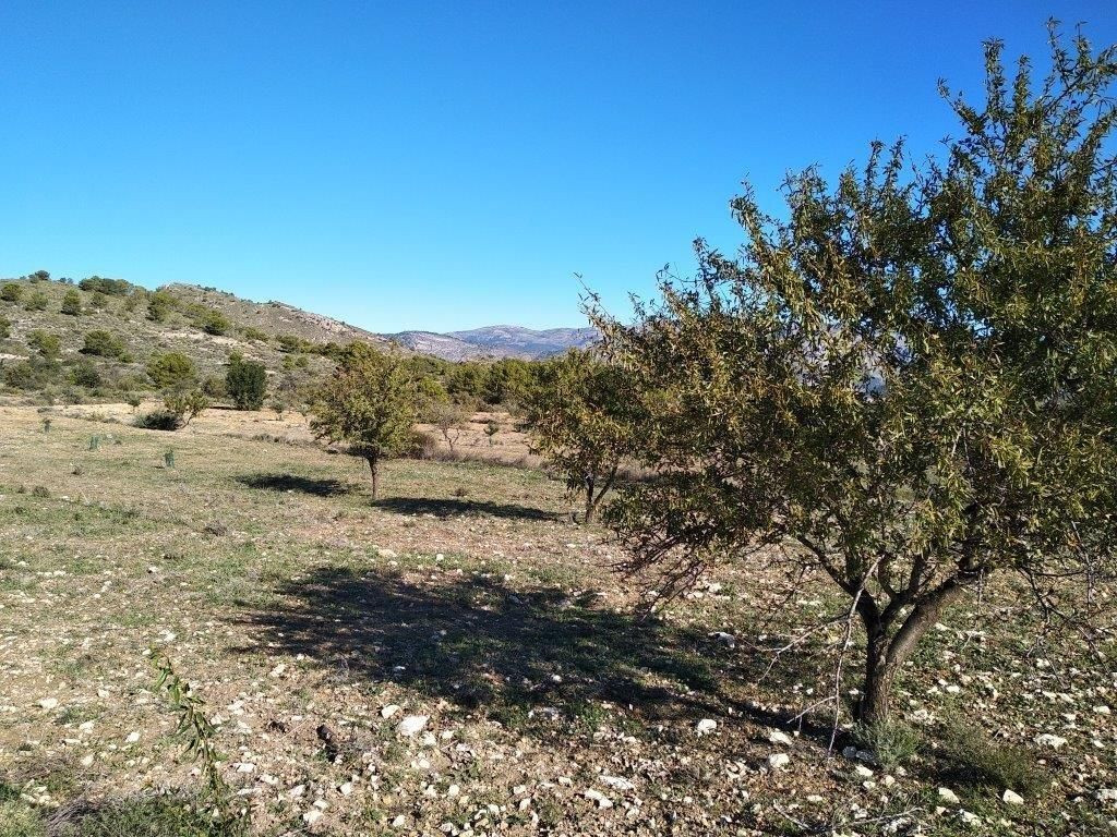 Se vende Terreno Urbano  en Costa Blanca, Alicante, España