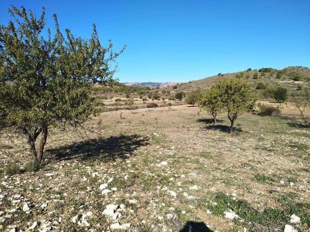 Se vende Terreno Urbano  en Costa Blanca, Alicante, España