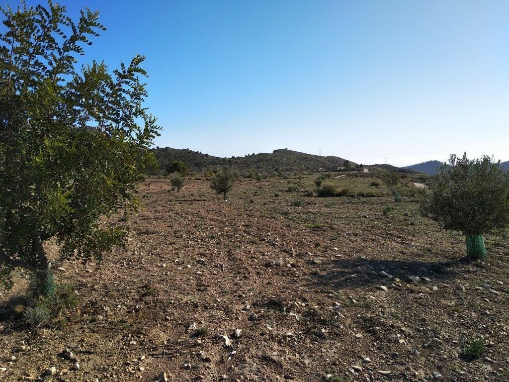 Se vende Terreno Urbano  en Costa Blanca, Alicante, España