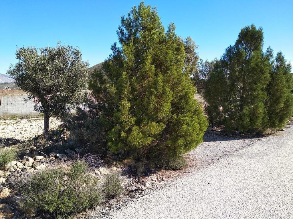 Se vende Terreno Urbano  en Costa Blanca, Alicante, España