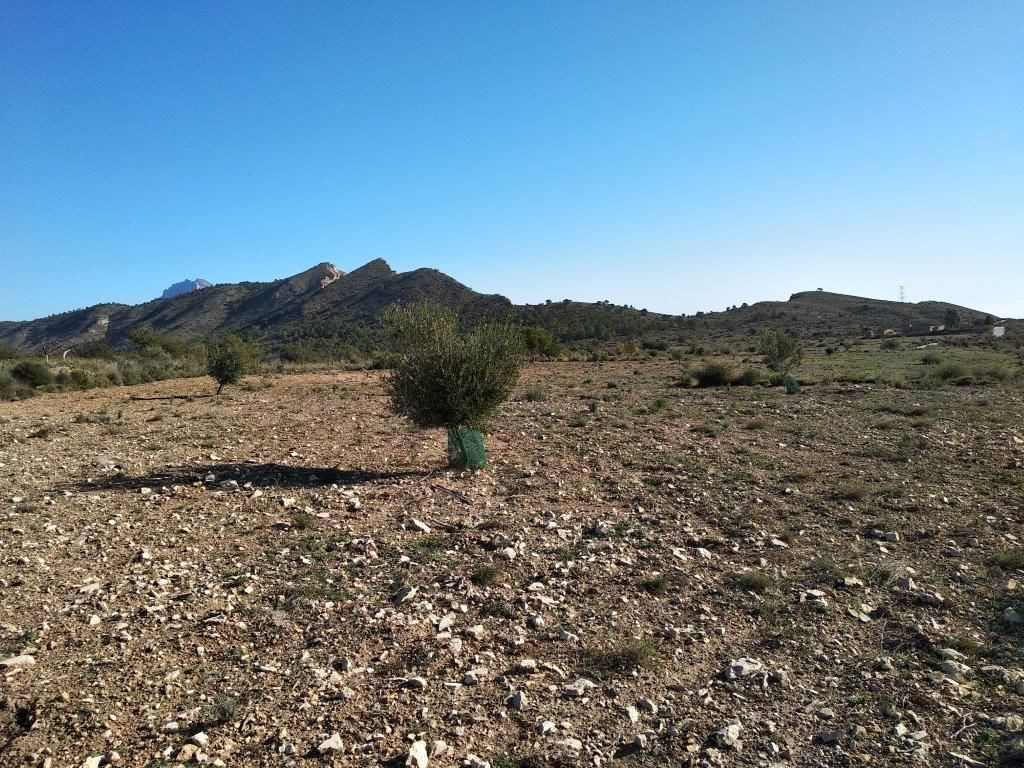 Se vende Terreno Urbano  en Costa Blanca, Alicante, España