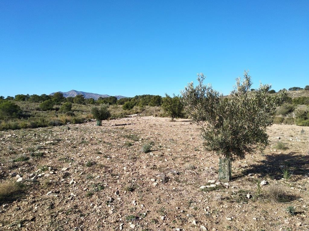Se vende Terreno Urbano  en Costa Blanca, Alicante, España