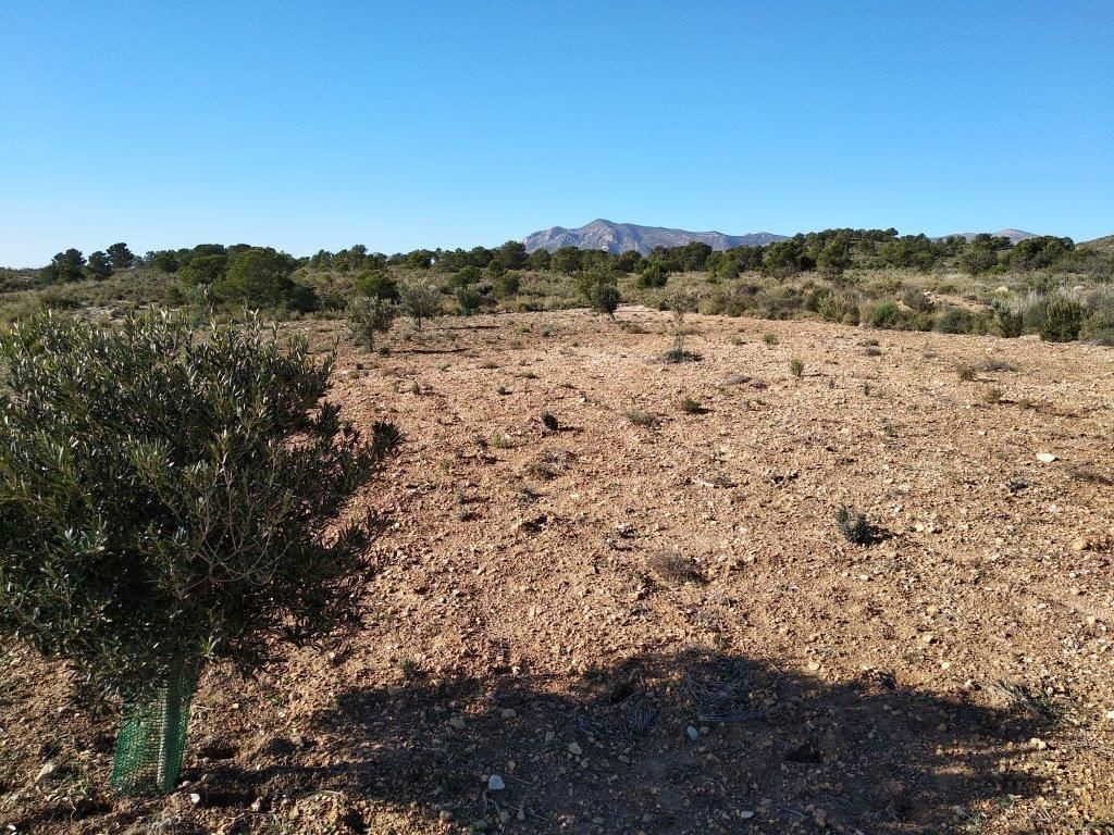 Se vende Terreno Urbano  en Costa Blanca, Alicante, España