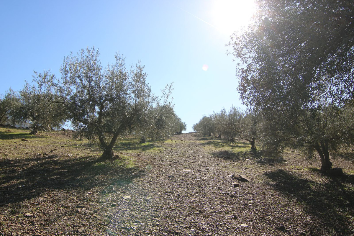 Se vende Terreno Rustico  en Costa Del Sol, Málaga, España