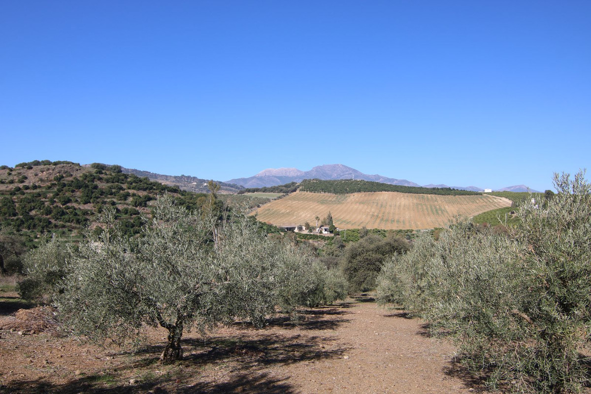 Se vende Terreno Rustico  en Costa Del Sol, Málaga, España