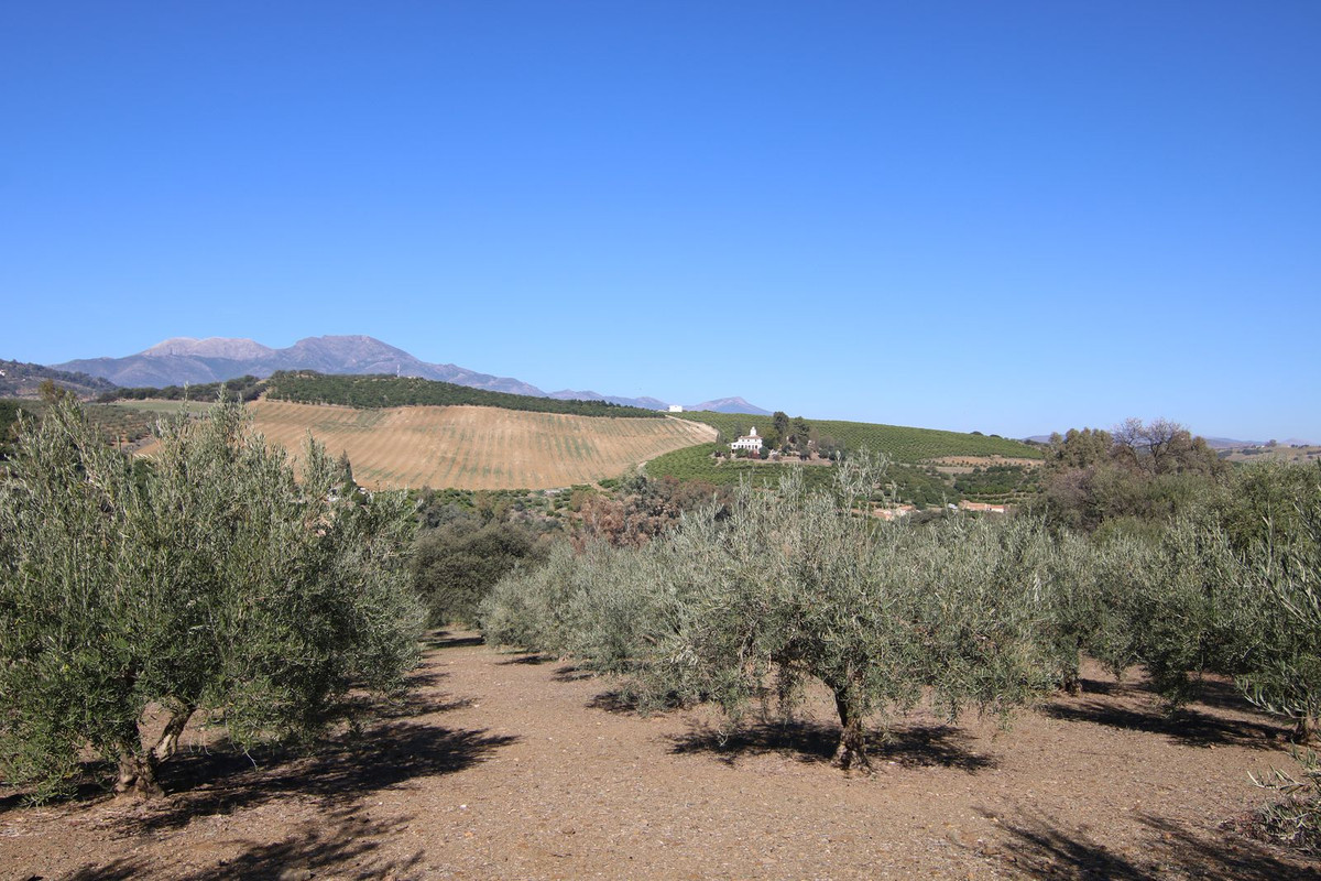 Se vende Terreno Rustico  en Costa Del Sol, Málaga, España