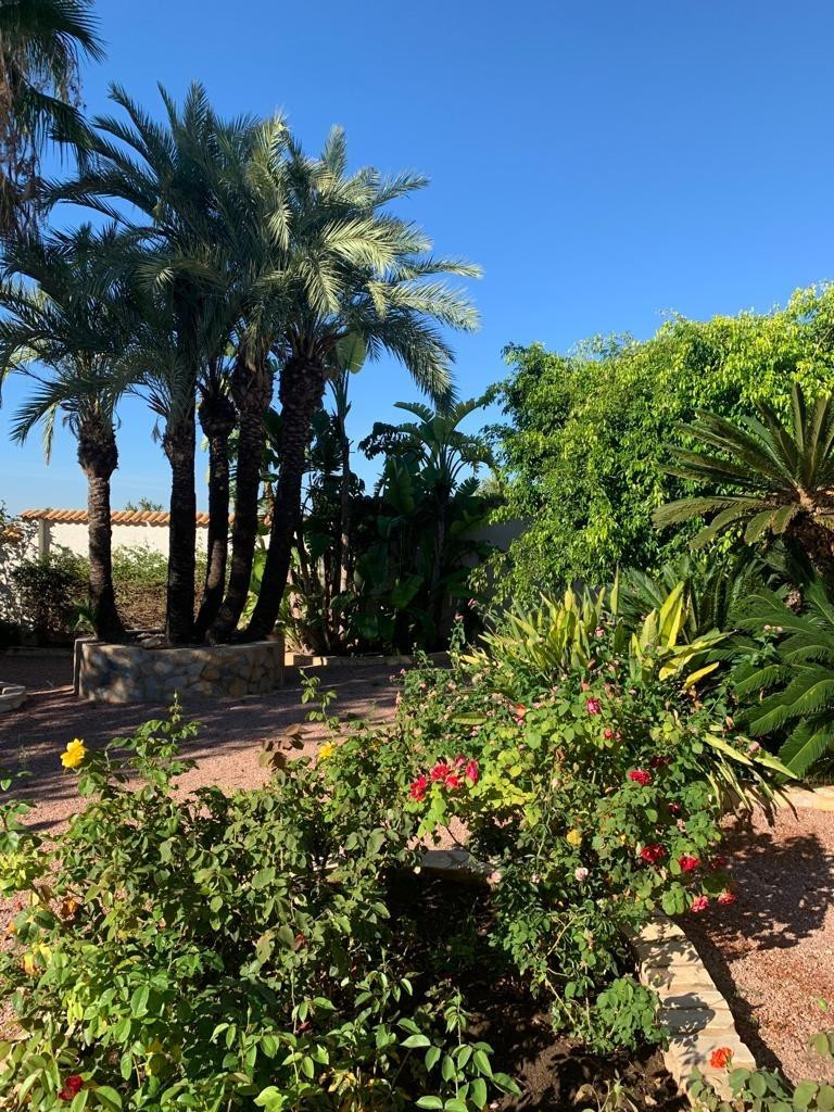 Se vende Bungalow de 3 dormitorios en Costa Blanca, Alicante, España