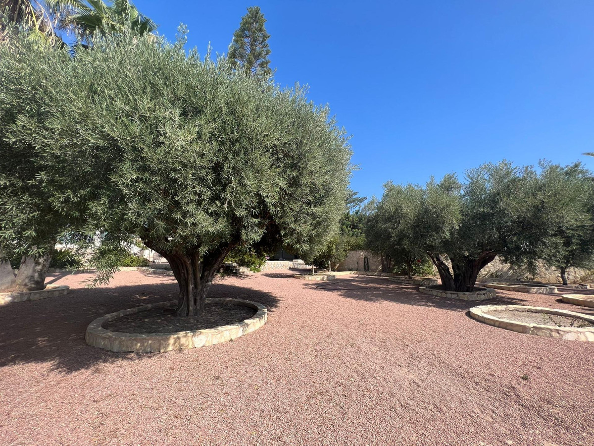 Se vende Bungalow de 3 dormitorios en Costa Blanca, Alicante, España