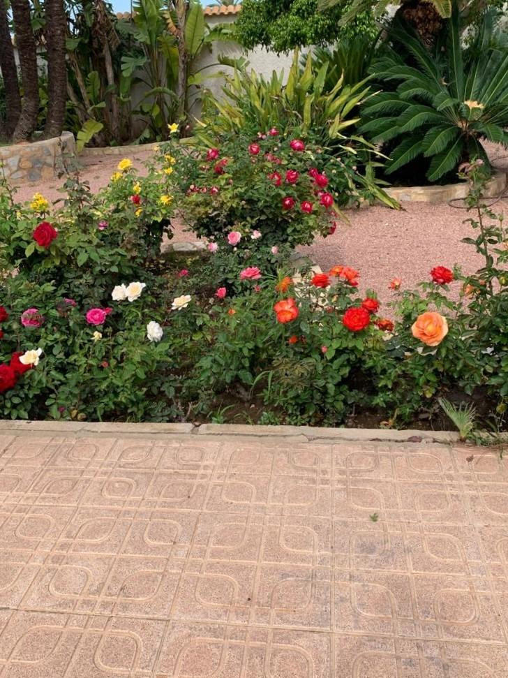 Se vende Bungalow de 3 dormitorios en Costa Blanca, Alicante, España