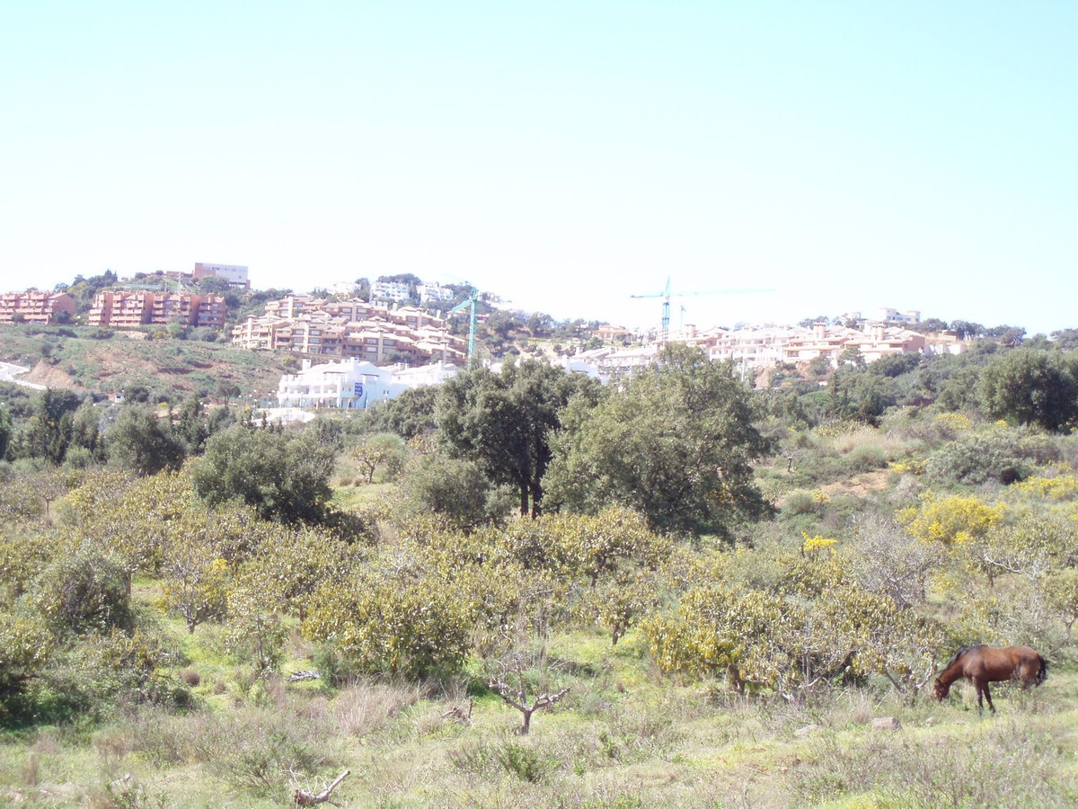 Se vende Terreno Rustico  en Costa Del Sol, Málaga, España