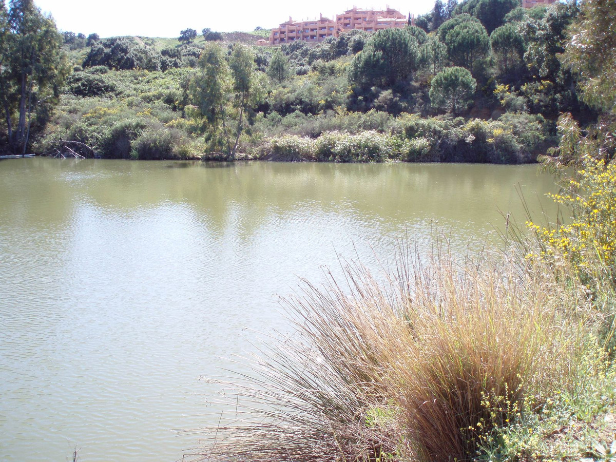 Se vende Terreno Rustico  en Costa Del Sol, Málaga, España