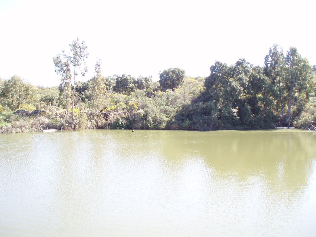 Se vende Terreno Rustico  en Costa Del Sol, Málaga, España