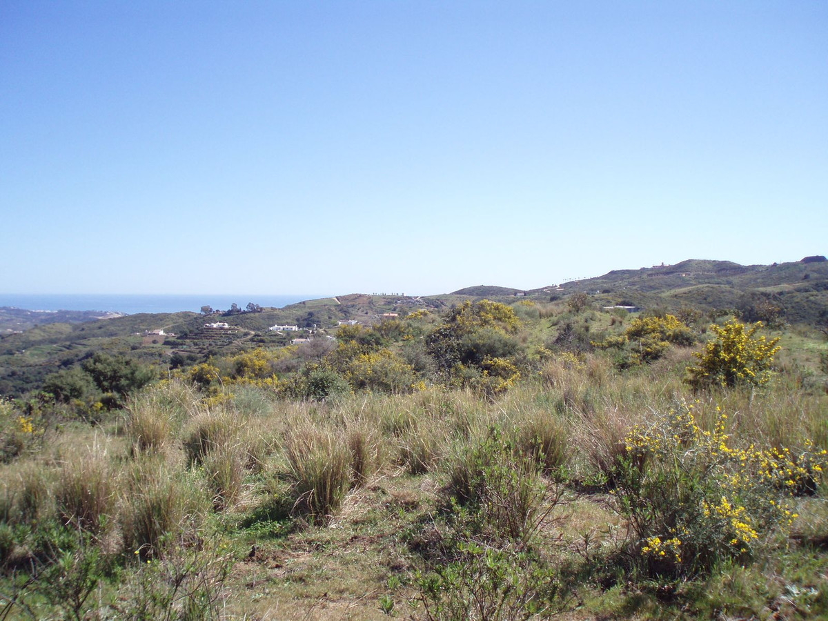 Se vende Terreno Rustico  en Costa Del Sol, Málaga, España