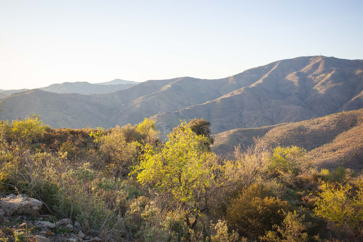 Se vende Terreno Rustico  en Costa Del Sol East, Málaga, España