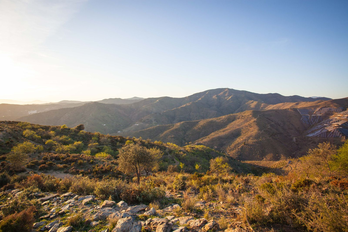 Se vende Terreno Rustico  en Costa Del Sol East, Málaga, España