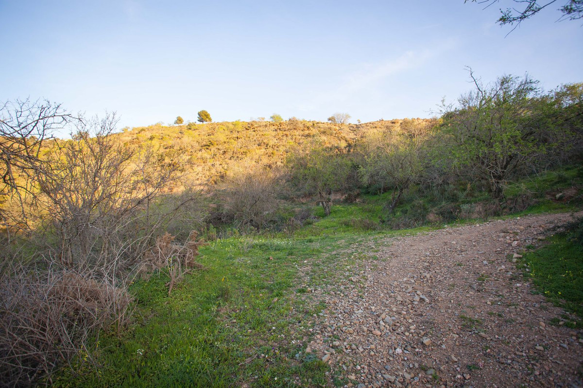 Se vende Terreno Rustico  en Costa Del Sol East, Málaga, España