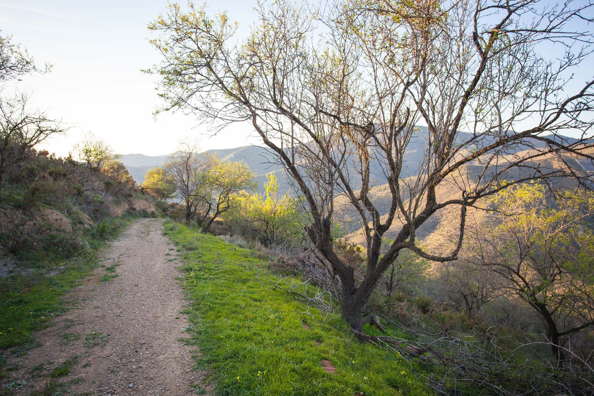 Se vende Terreno Rustico  en Costa Del Sol East, Málaga, España