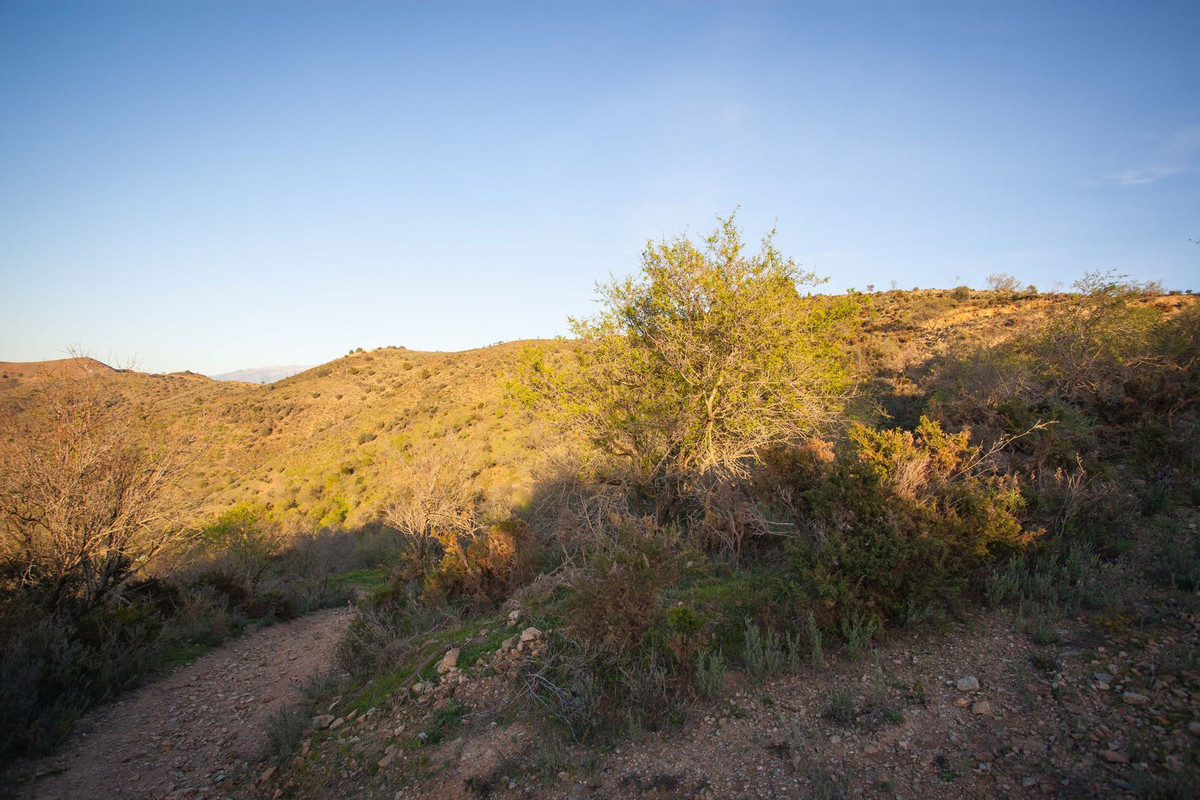 Se vende Terreno Rustico  en Costa Del Sol East, Málaga, España