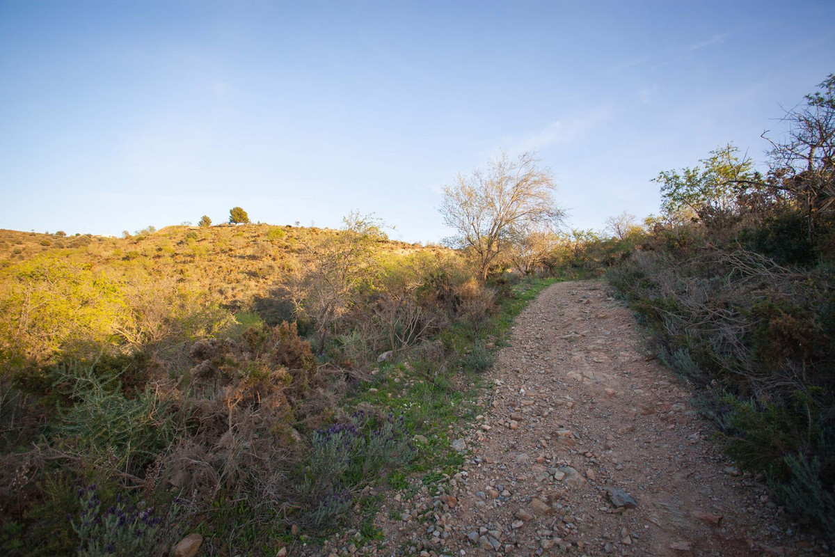 Se vende Terreno Rustico  en Costa Del Sol East, Málaga, España