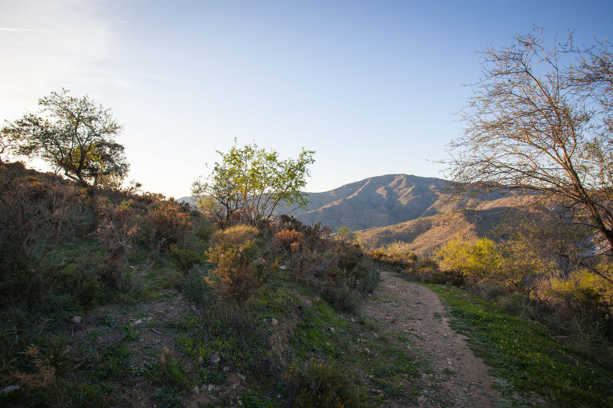 Se vende Terreno Rustico  en Costa Del Sol East, Málaga, España