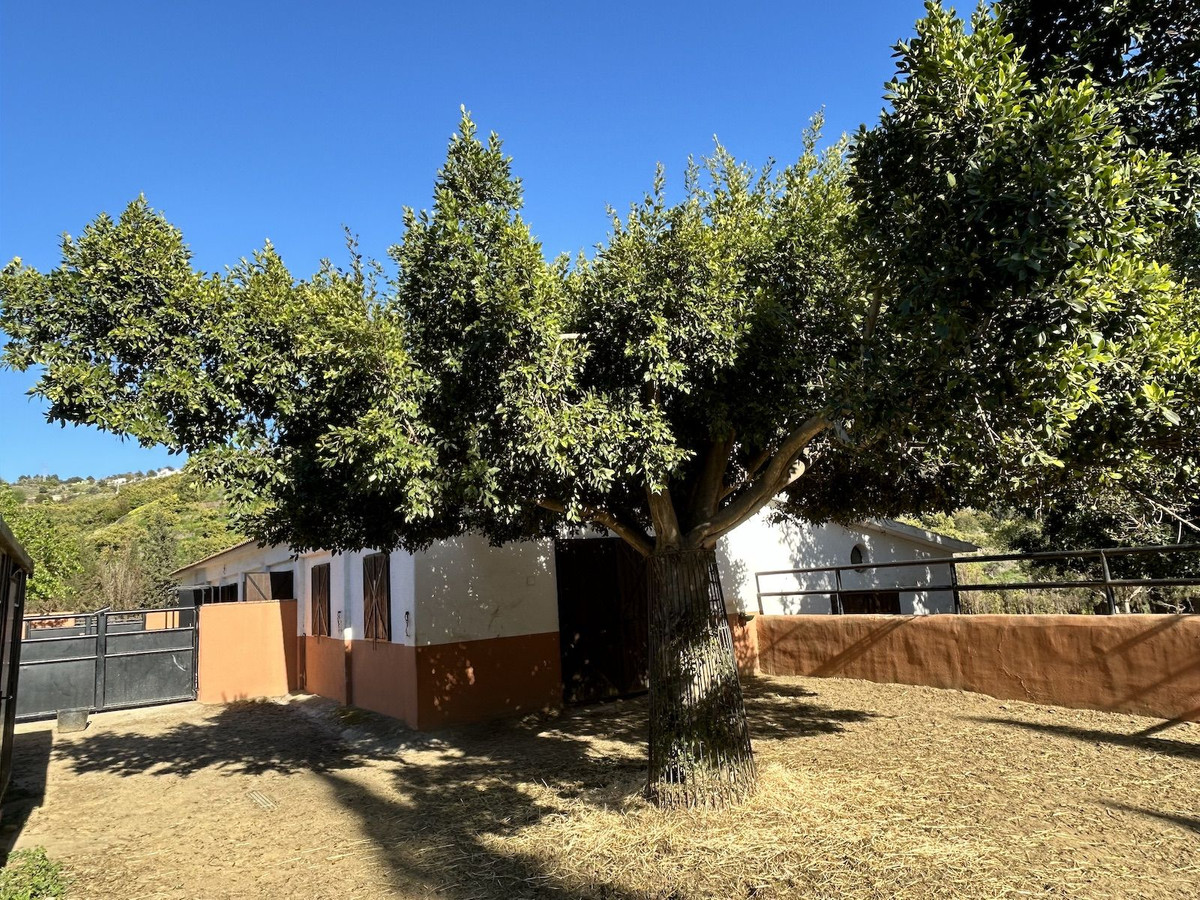Se vende Villa - Chalet de 9 dormitorios en Costa Del Sol East, Málaga, España