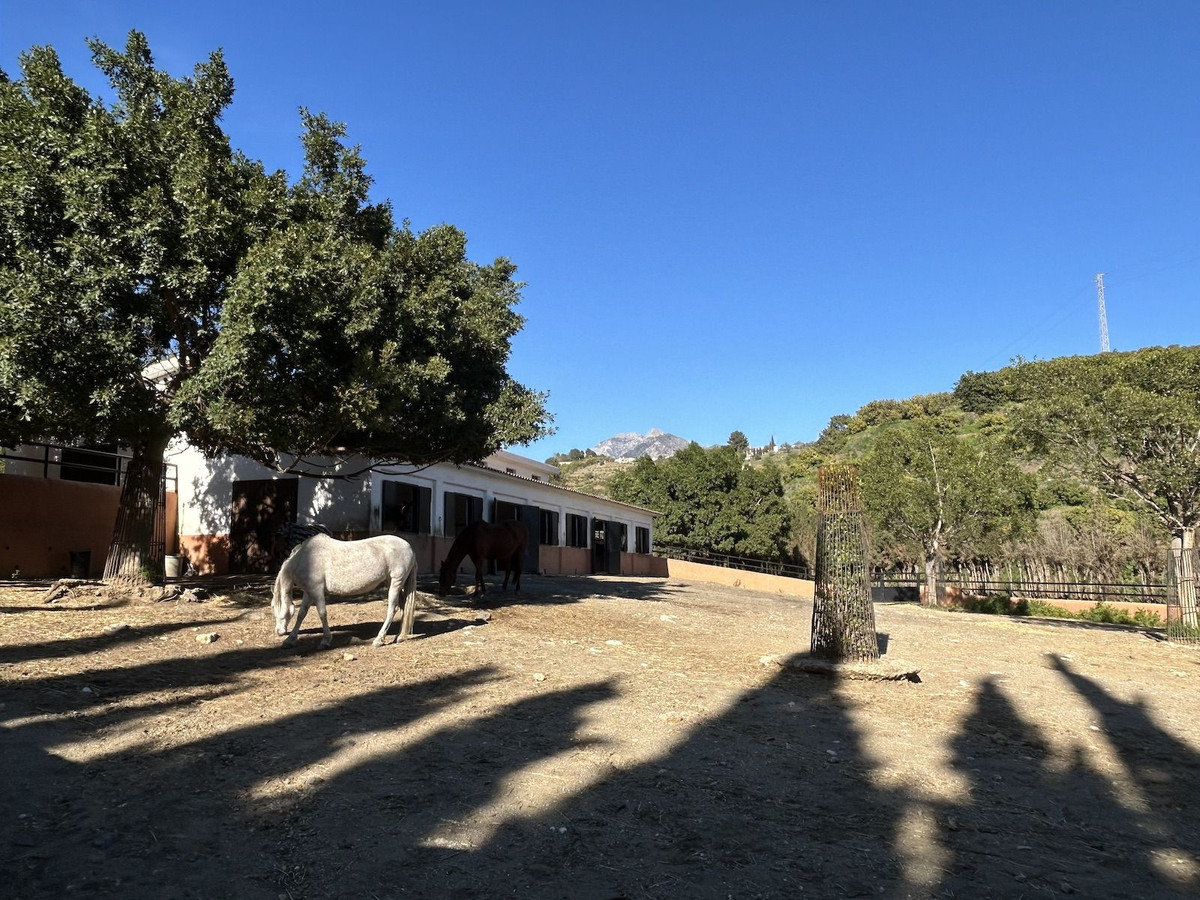 Se vende Villa - Chalet de 9 dormitorios en Costa Del Sol East, Málaga, España