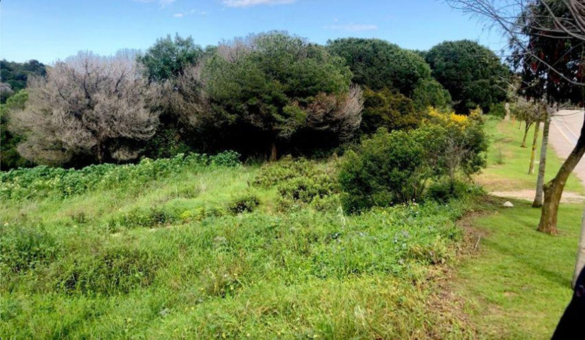 Se vende Terreno Urbano  en Costa Del Sol, Cadiz, España