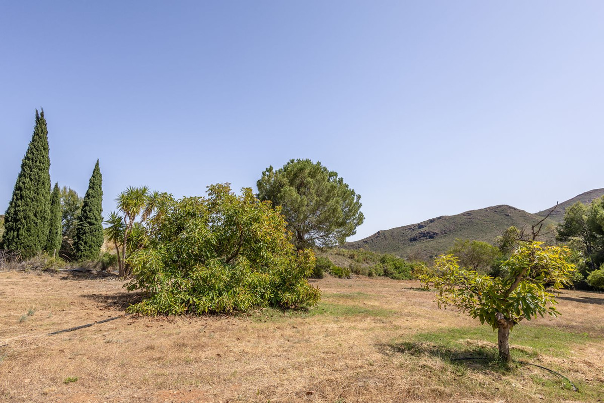 Se vende Villa - Chalet de 4 dormitorios en Costa Del Sol, Málaga, España