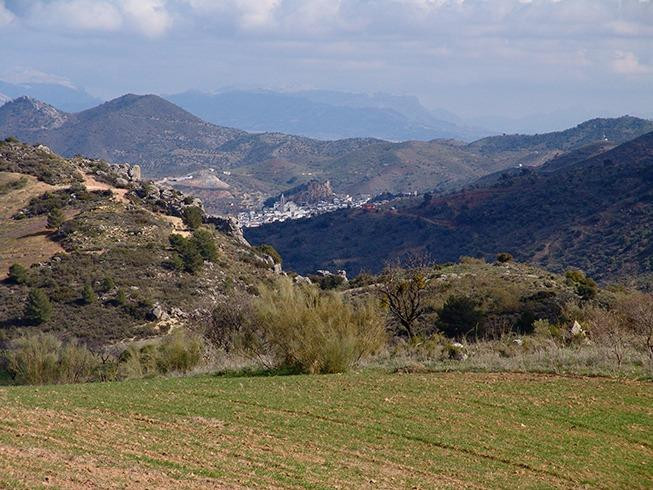 Se vende Finca - Cortijo de 30 dormitorios en Costa Del Sol, Málaga, España