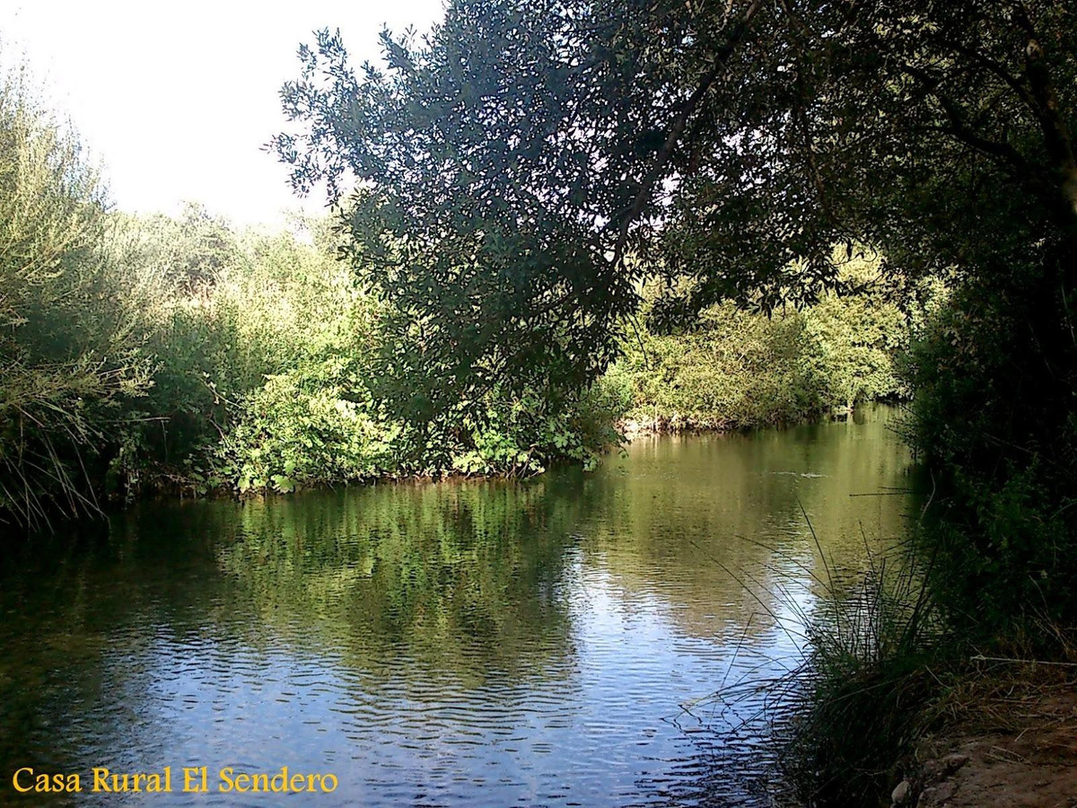 Se vende Finca - Cortijo de 30 dormitorios en Costa Del Sol, Málaga, España