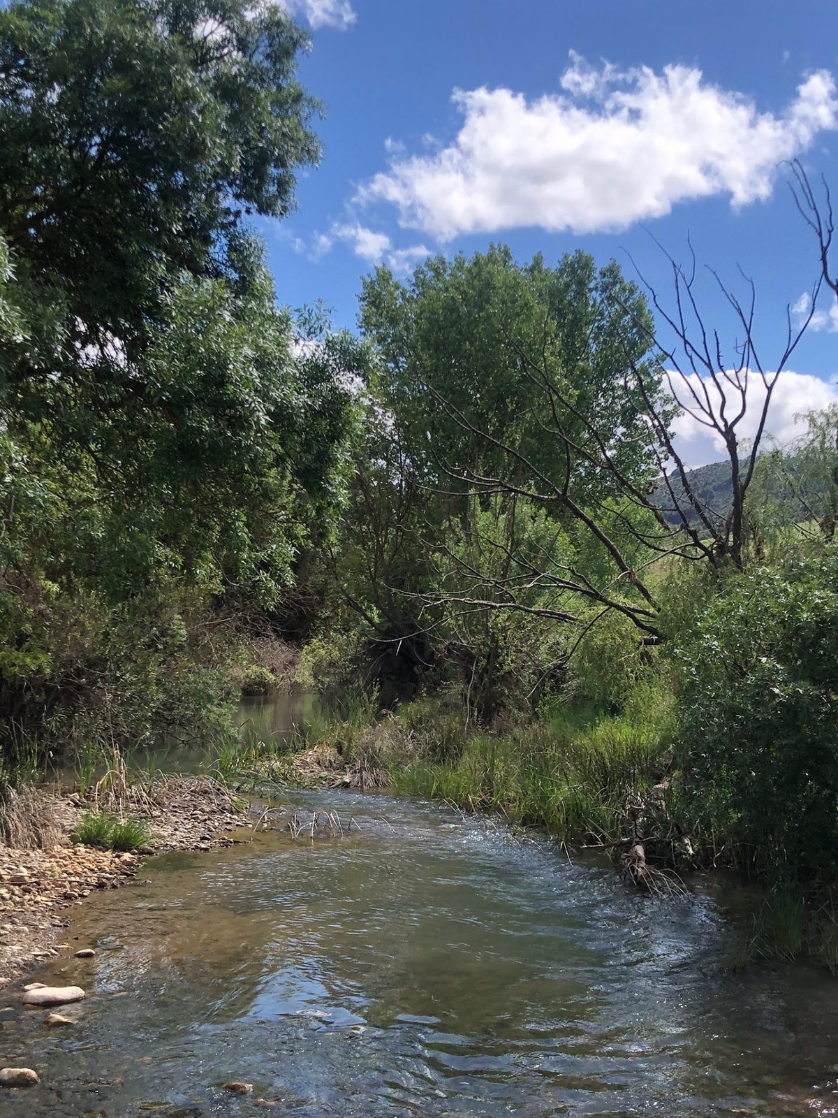 Se vende Finca - Cortijo de 30 dormitorios en Costa Del Sol, Málaga, España
