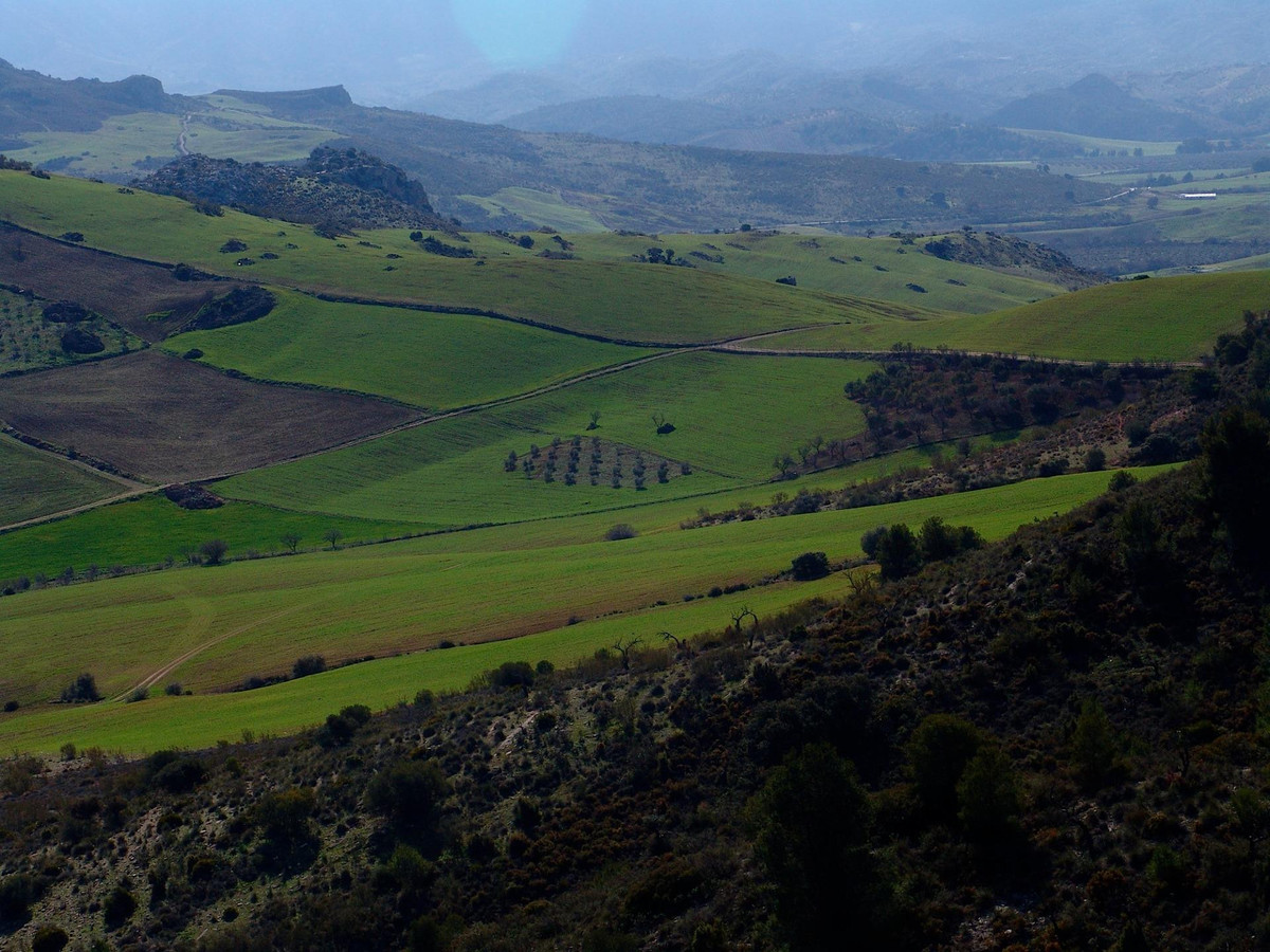 Se vende Finca - Cortijo de 30 dormitorios en Costa Del Sol, Málaga, España