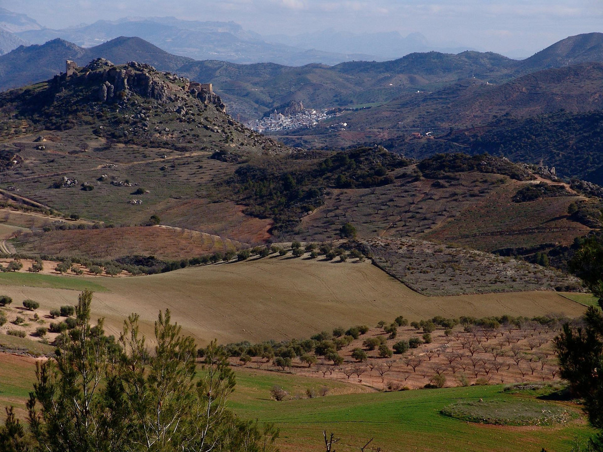 Se vende Finca - Cortijo de 30 dormitorios en Costa Del Sol, Málaga, España