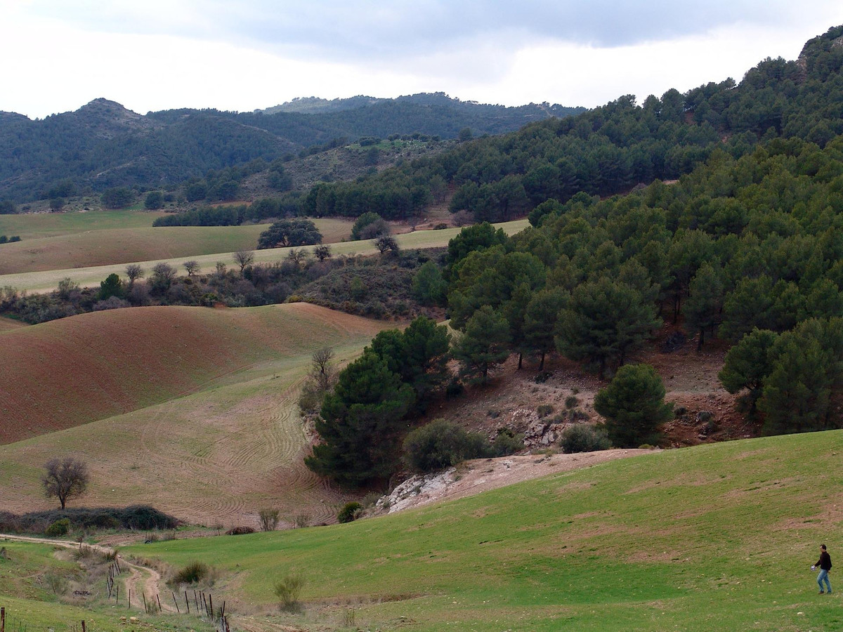 Se vende Finca - Cortijo de 30 dormitorios en Costa Del Sol, Málaga, España