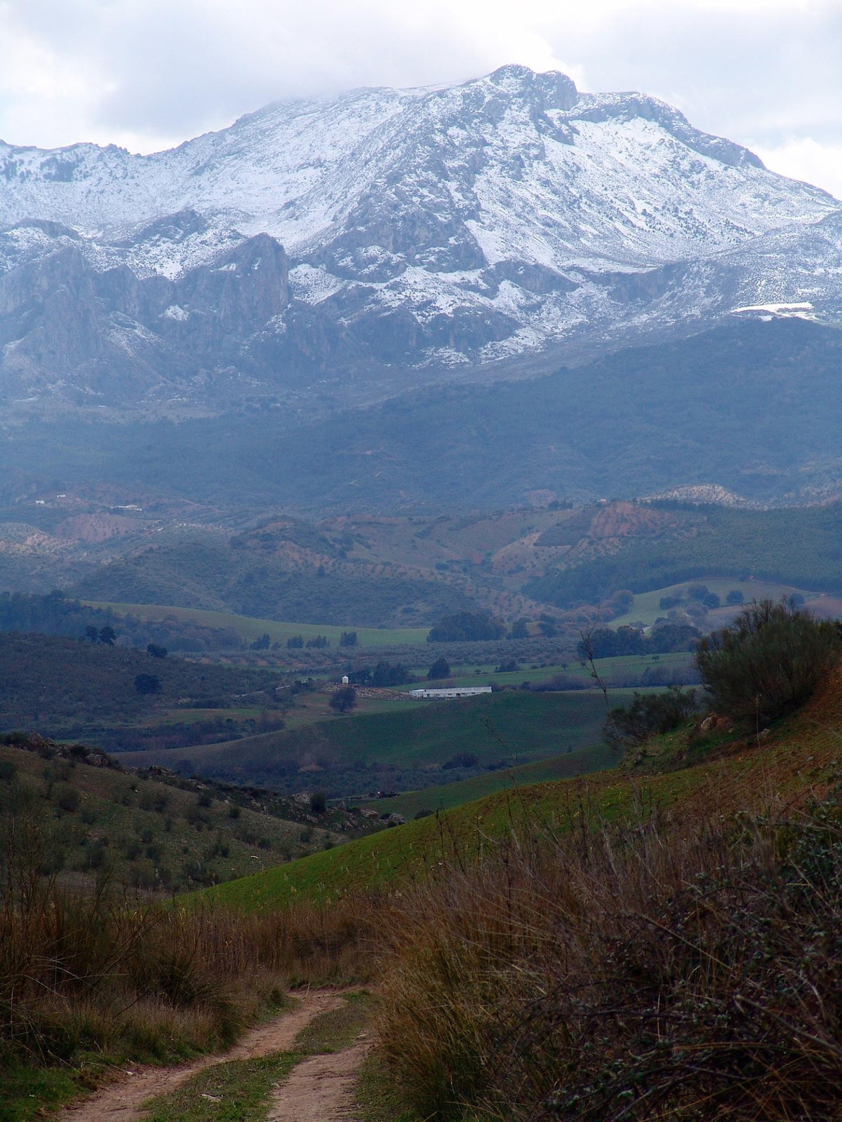 Se vende Finca - Cortijo de 30 dormitorios en Costa Del Sol, Málaga, España