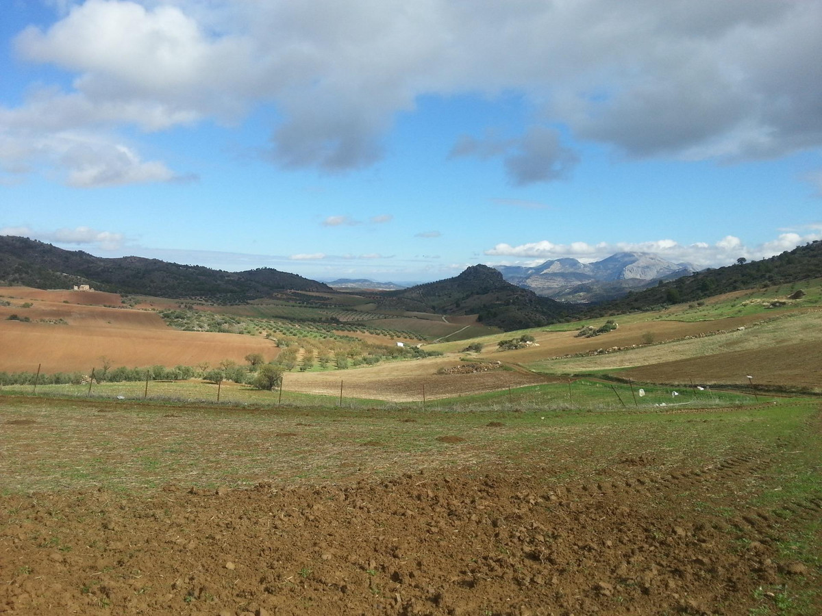 Se vende Finca - Cortijo de 30 dormitorios en Costa Del Sol, Málaga, España