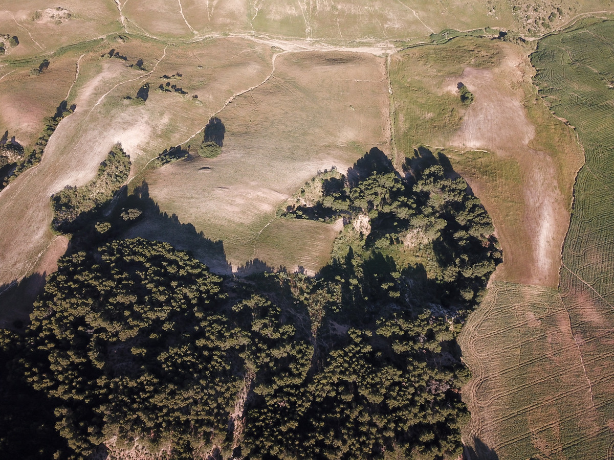 Se vende Finca - Cortijo de 30 dormitorios en Costa Del Sol, Málaga, España