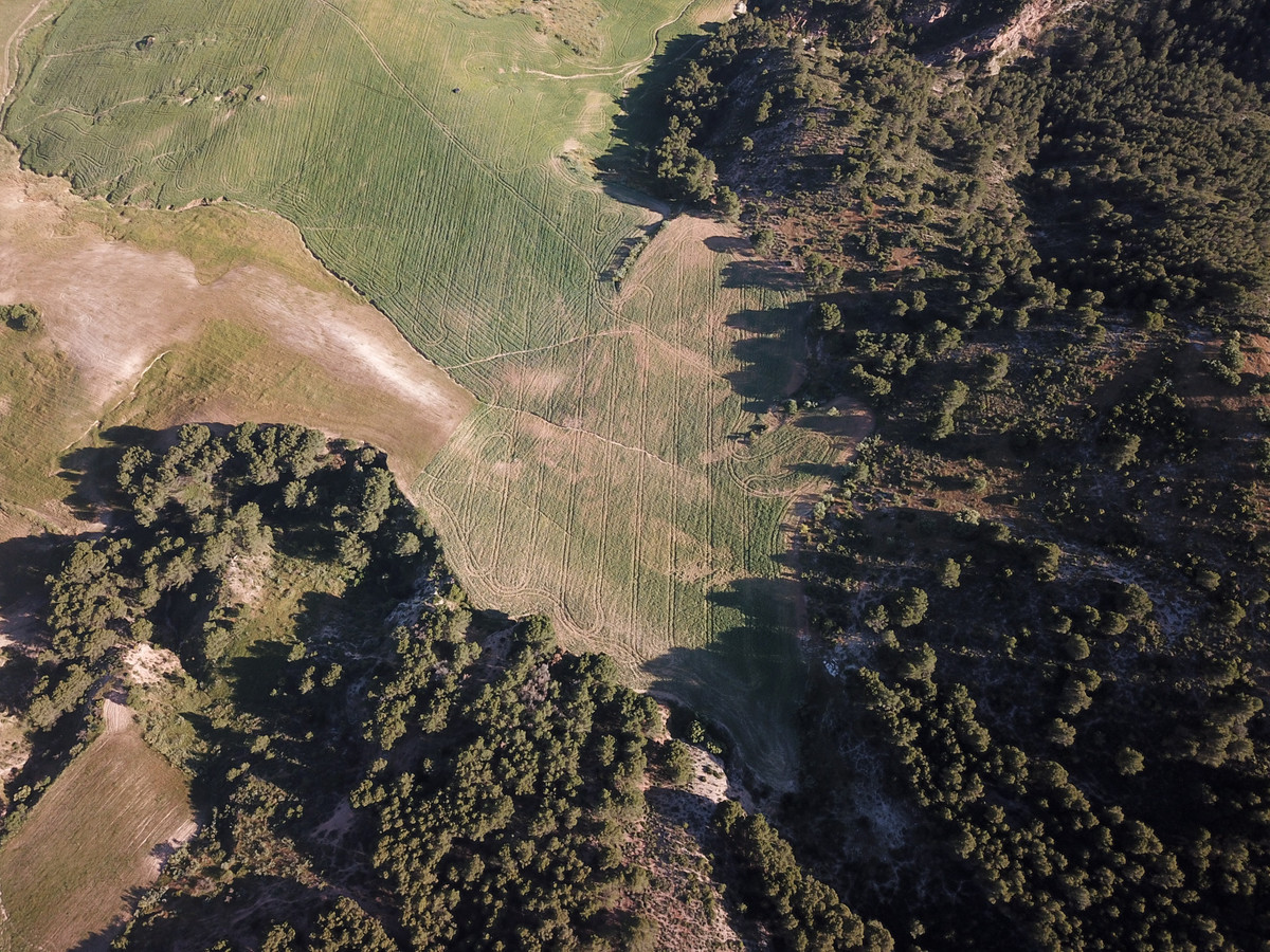 Se vende Finca - Cortijo de 30 dormitorios en Costa Del Sol, Málaga, España