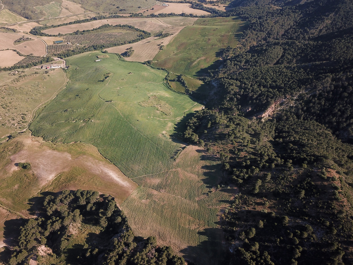 Se vende Finca - Cortijo de 30 dormitorios en Costa Del Sol, Málaga, España