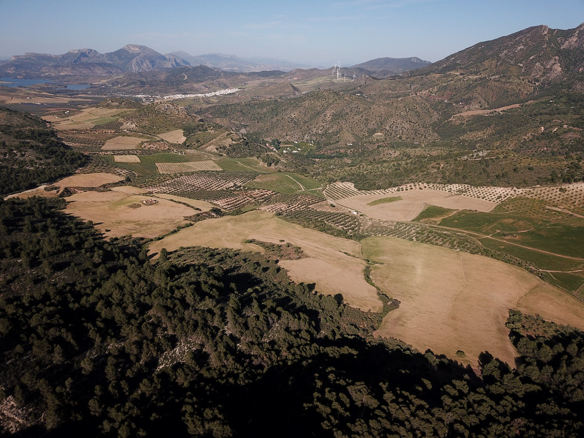 Se vende Finca - Cortijo de 30 dormitorios en Costa Del Sol, Málaga, España