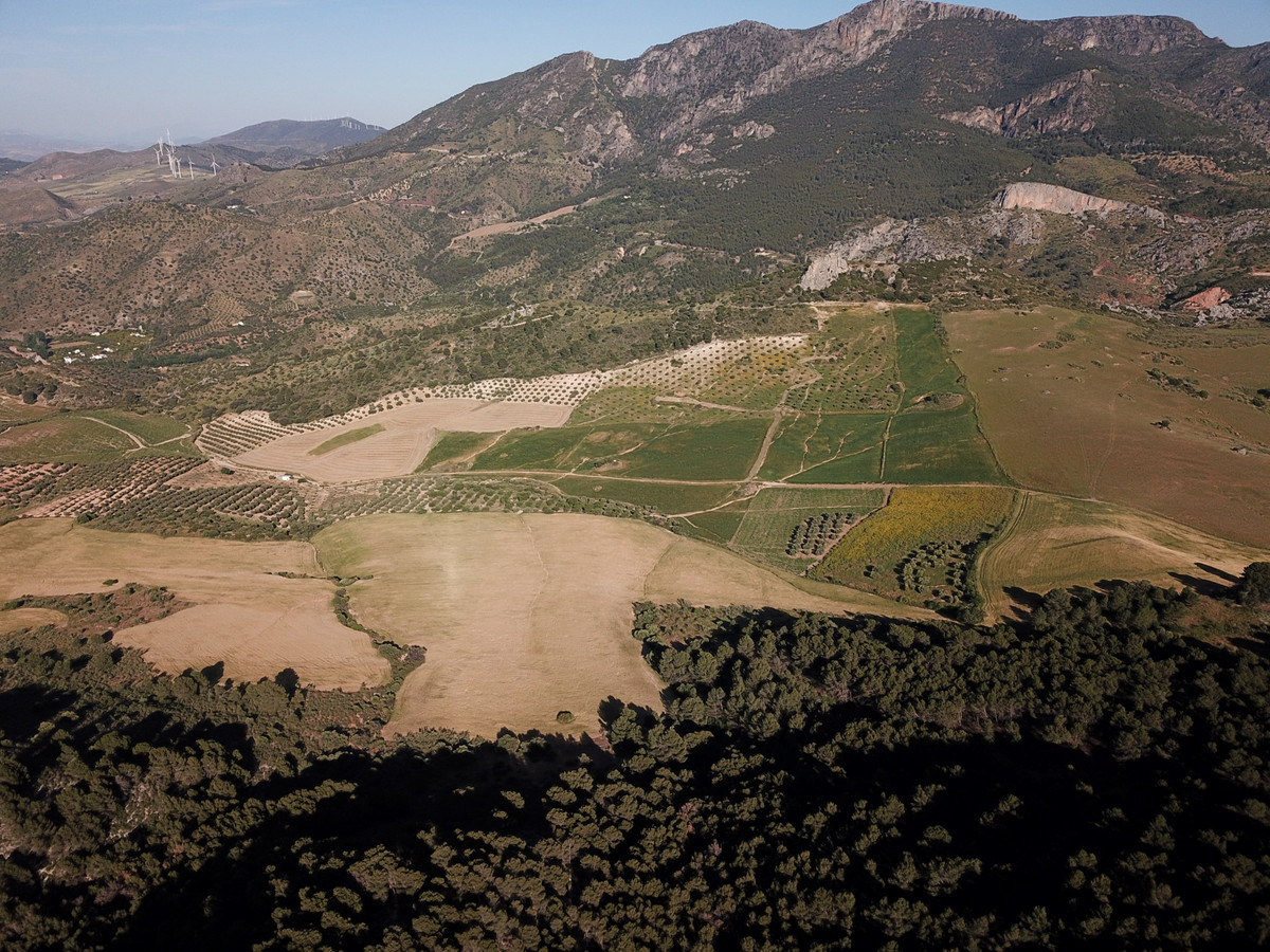 Se vende Finca - Cortijo de 30 dormitorios en Costa Del Sol, Málaga, España