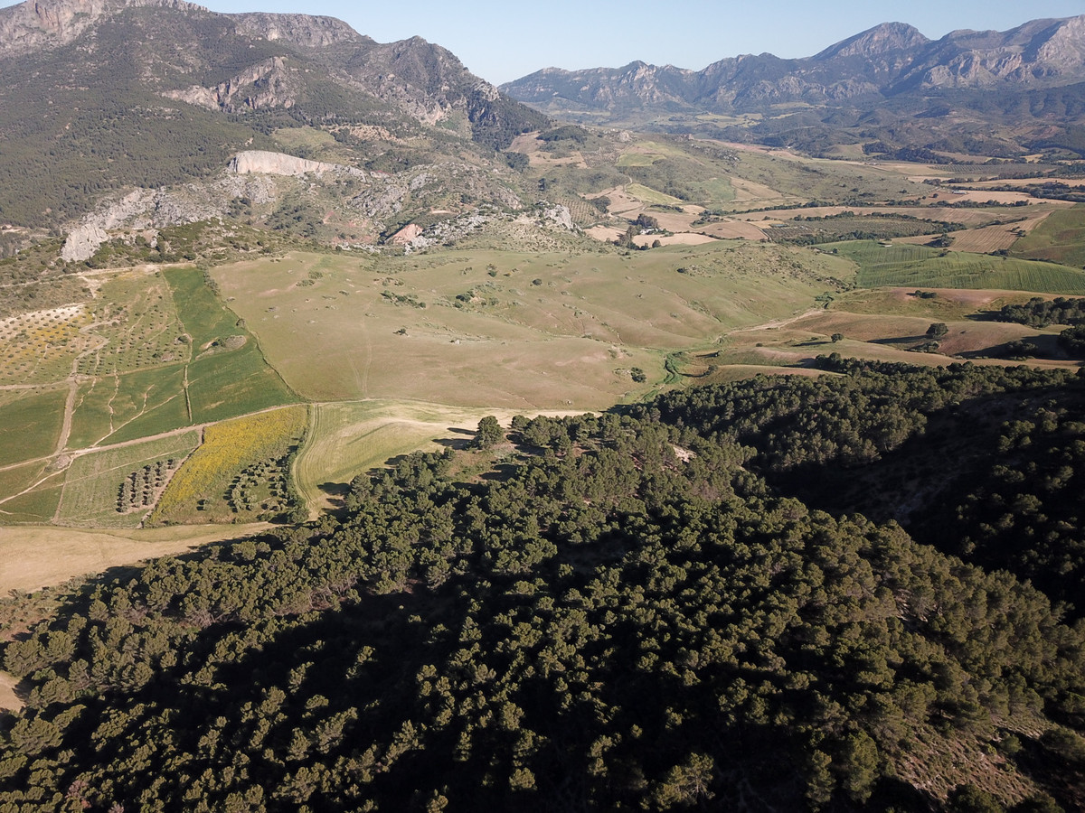 Se vende Finca - Cortijo de 30 dormitorios en Costa Del Sol, Málaga, España