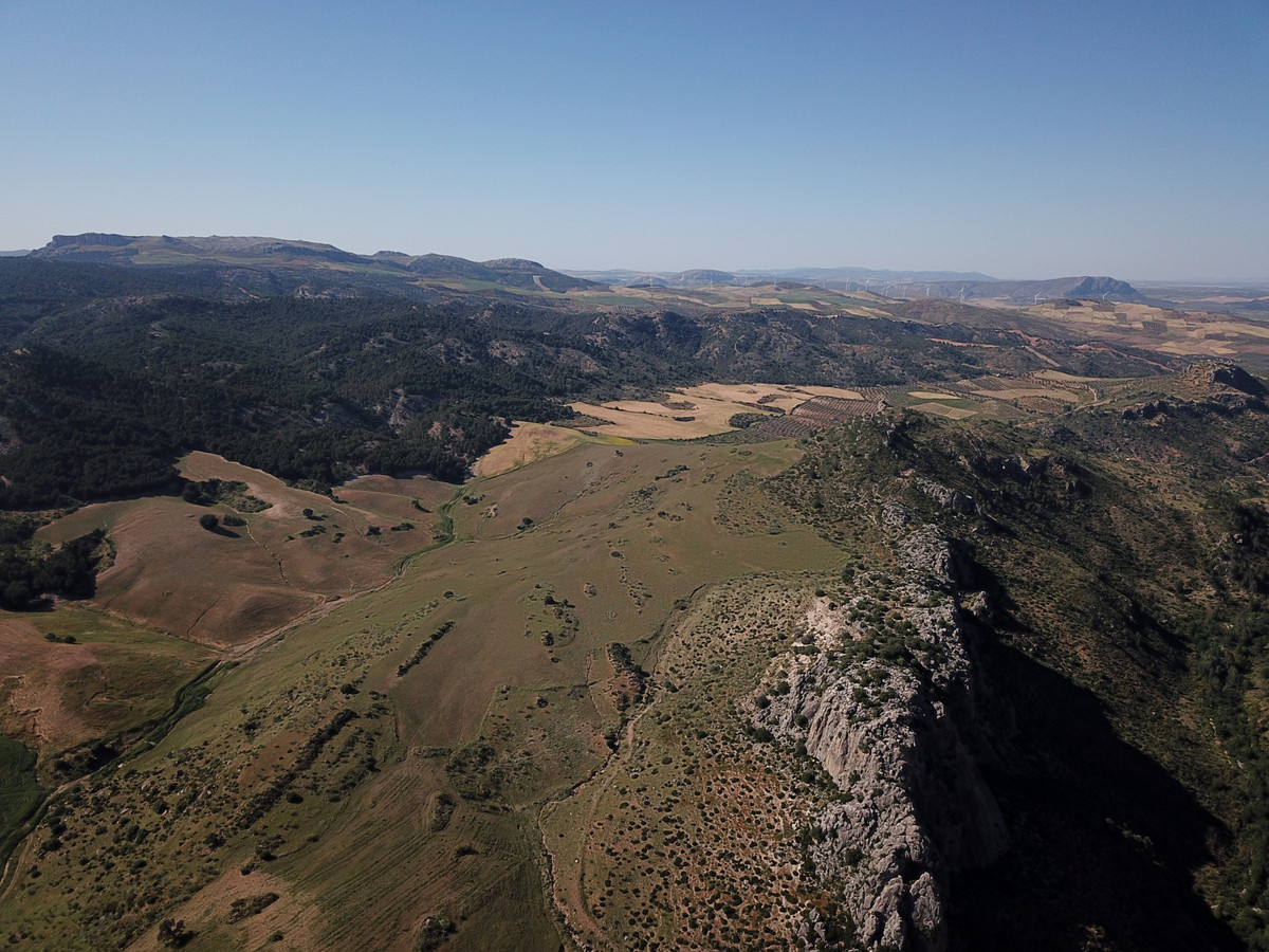 Se vende Finca - Cortijo de 30 dormitorios en Costa Del Sol, Málaga, España