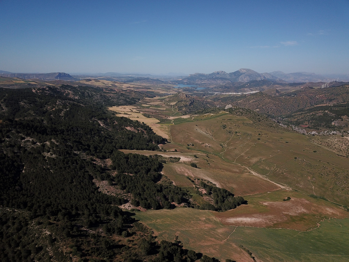 Se vende Finca - Cortijo de 30 dormitorios en Costa Del Sol, Málaga, España